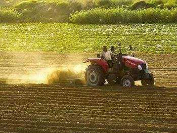 浙江省下達2020年省級農業(yè)農村高質量發(fā)展專項資金